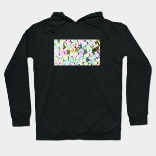 IDFC SweetHeart - Fan Design Hoodie